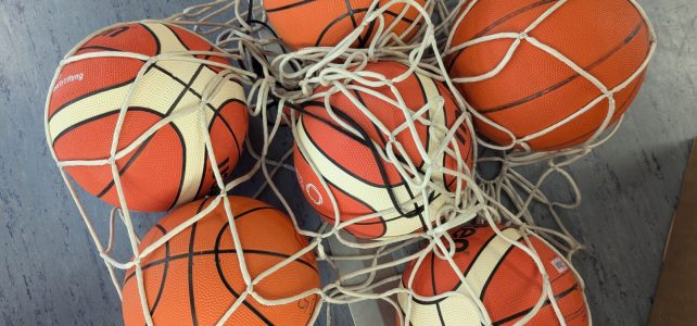 Basketballaktionstag 2025 Basketballaktionstag 2025