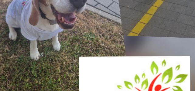 Sponsorenlauf 2026 – Laufen für den bunten Schulhof Sponsorenlauf 2026 – Laufen für den bunten Schulhof